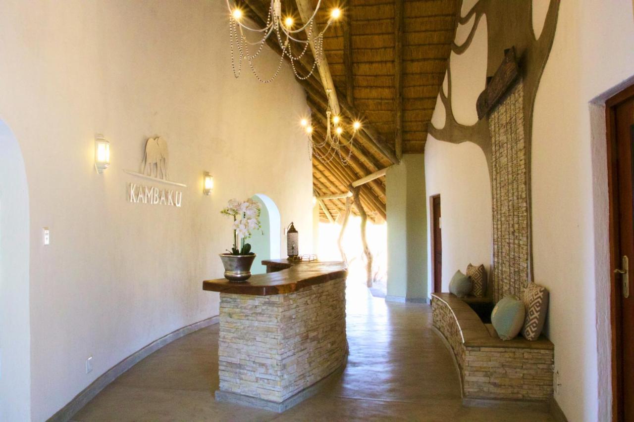 Kambaku River Sands Timbavati Game Reserve Eksteriør billede