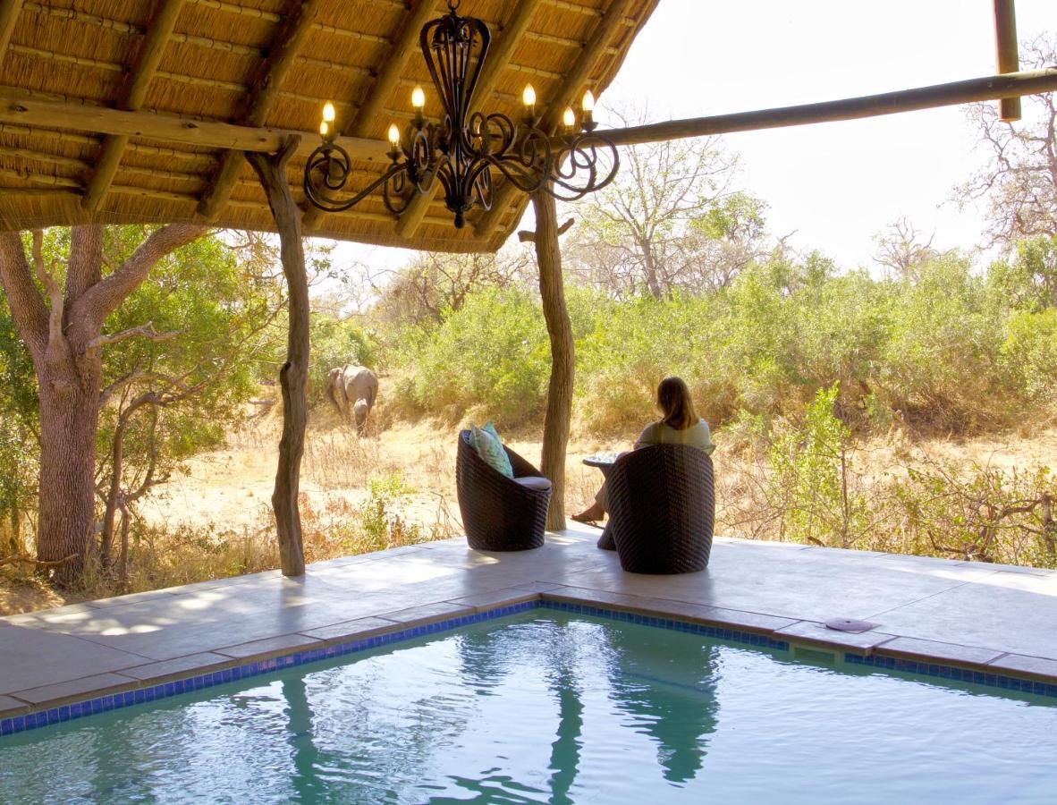 Kambaku River Sands Timbavati Game Reserve Eksteriør billede