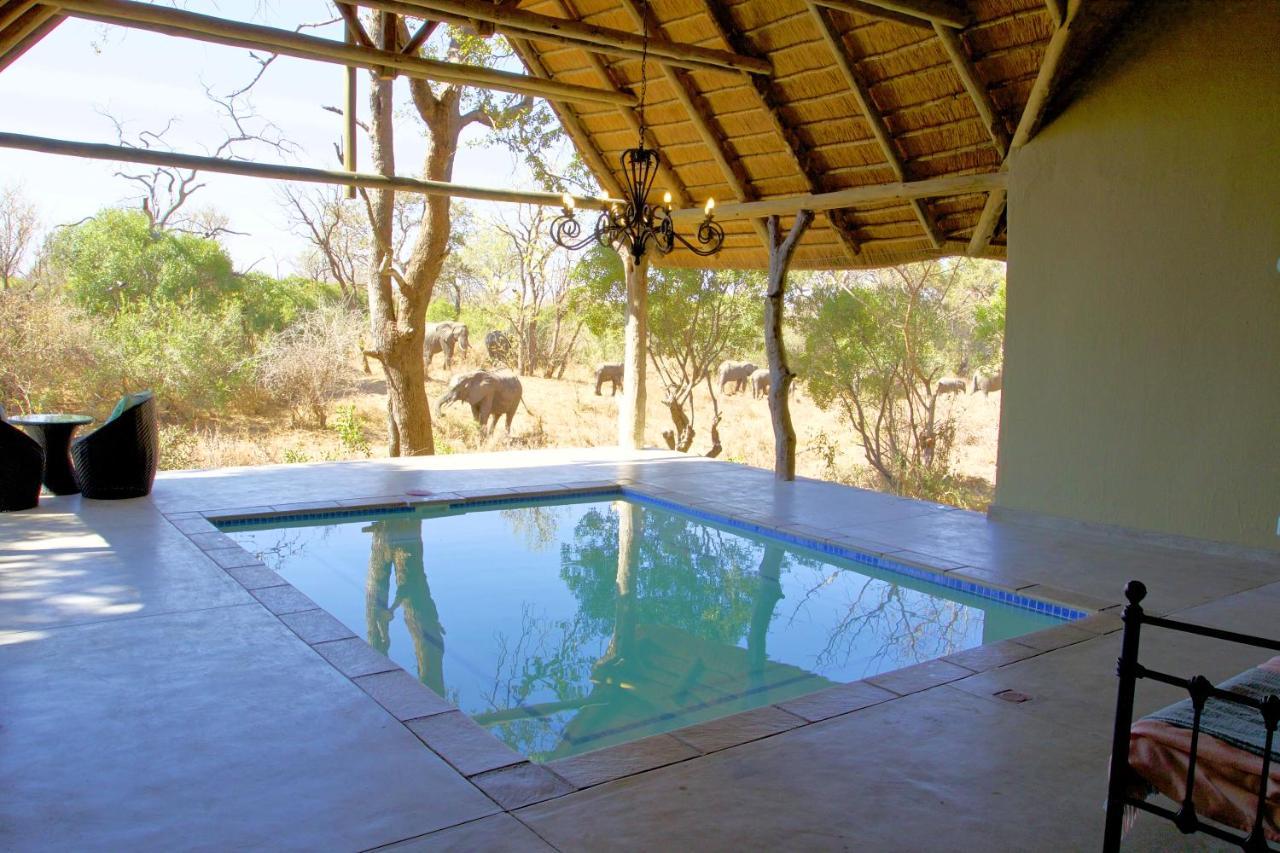 Kambaku River Sands Timbavati Game Reserve Eksteriør billede