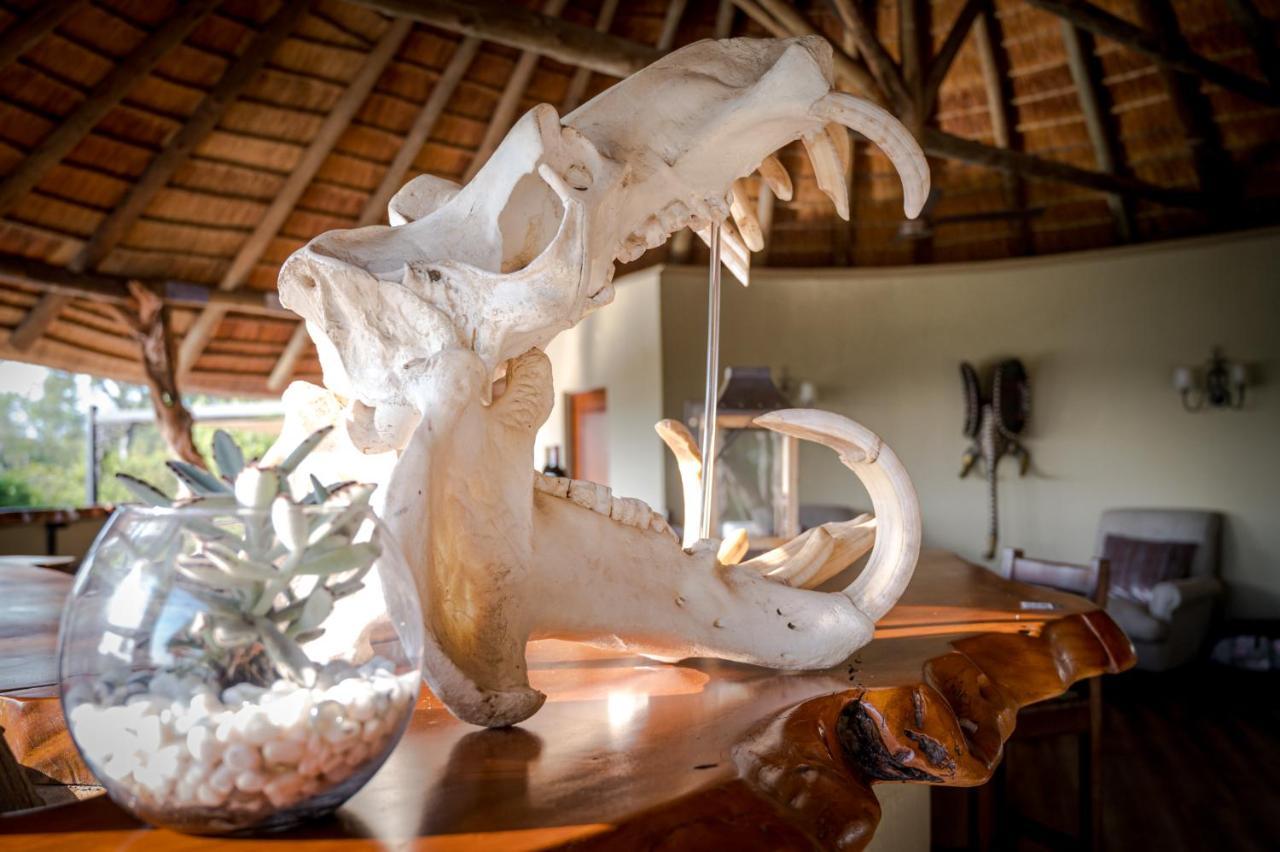 Kambaku River Sands Timbavati Game Reserve Eksteriør billede