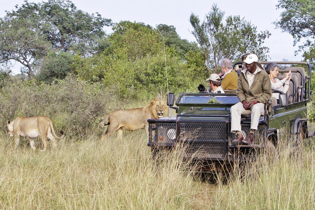 Kambaku River Sands Timbavati Game Reserve Eksteriør billede
