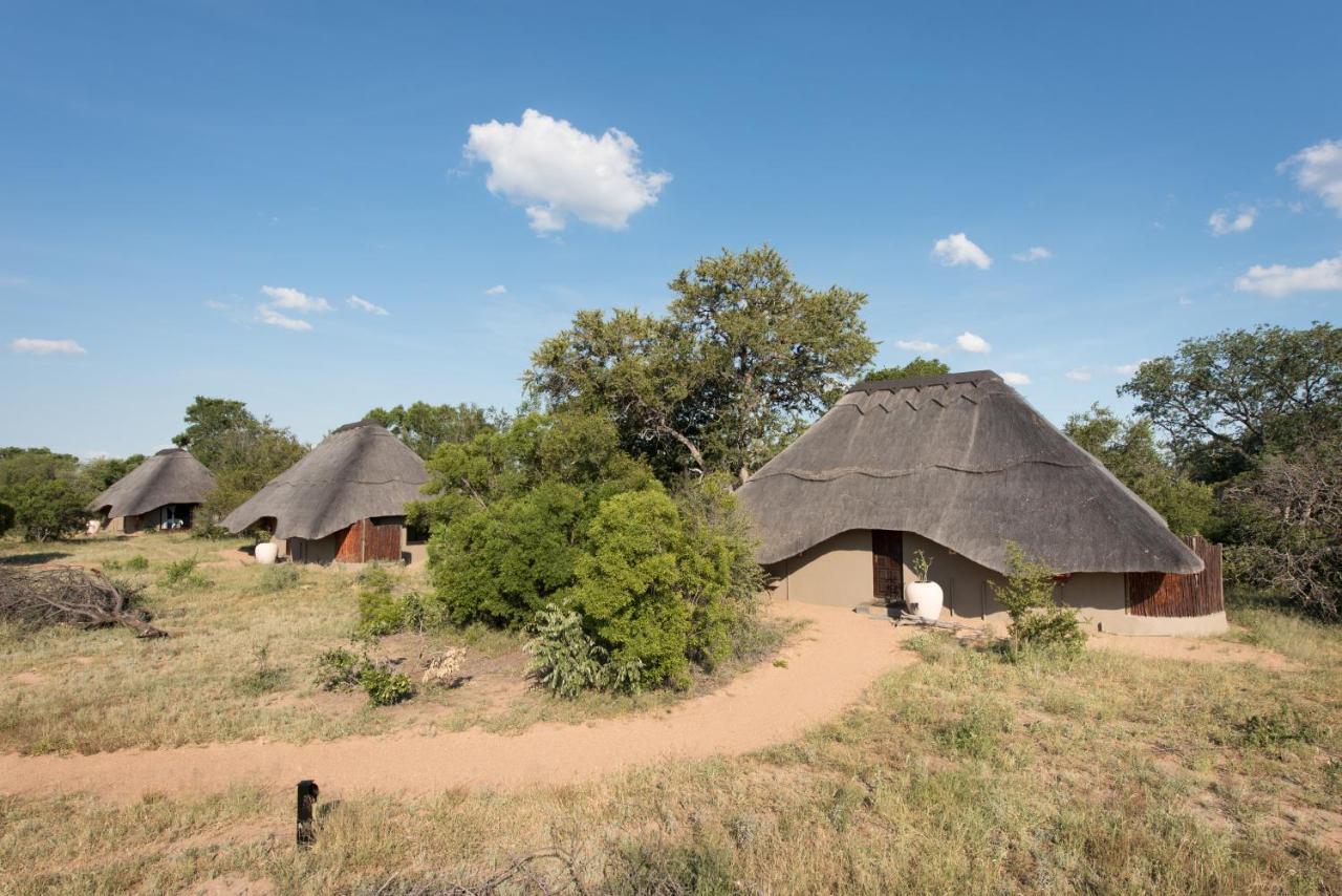 Kambaku River Sands Timbavati Game Reserve Eksteriør billede