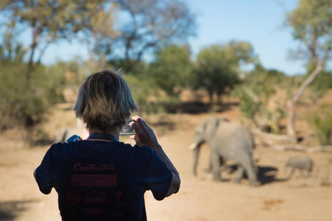 Kambaku River Sands Timbavati Game Reserve Eksteriør billede